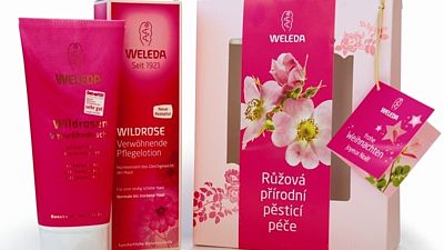 Růžová přírodní pěsticí péče Weleda: set v sobě ukrývá Růžové pěsticí tělové mléko a Růžový sprchový krém.