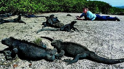 Nezapomenutelné bylo i fotografování velkých leguánů na Galapágách.
