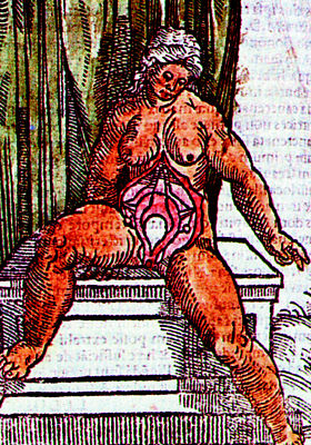 Ilustrace zobrazující ženské pohlavní orgány na dřevorytu z roku 1521. 