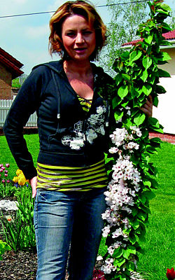 Jolana Voldánová